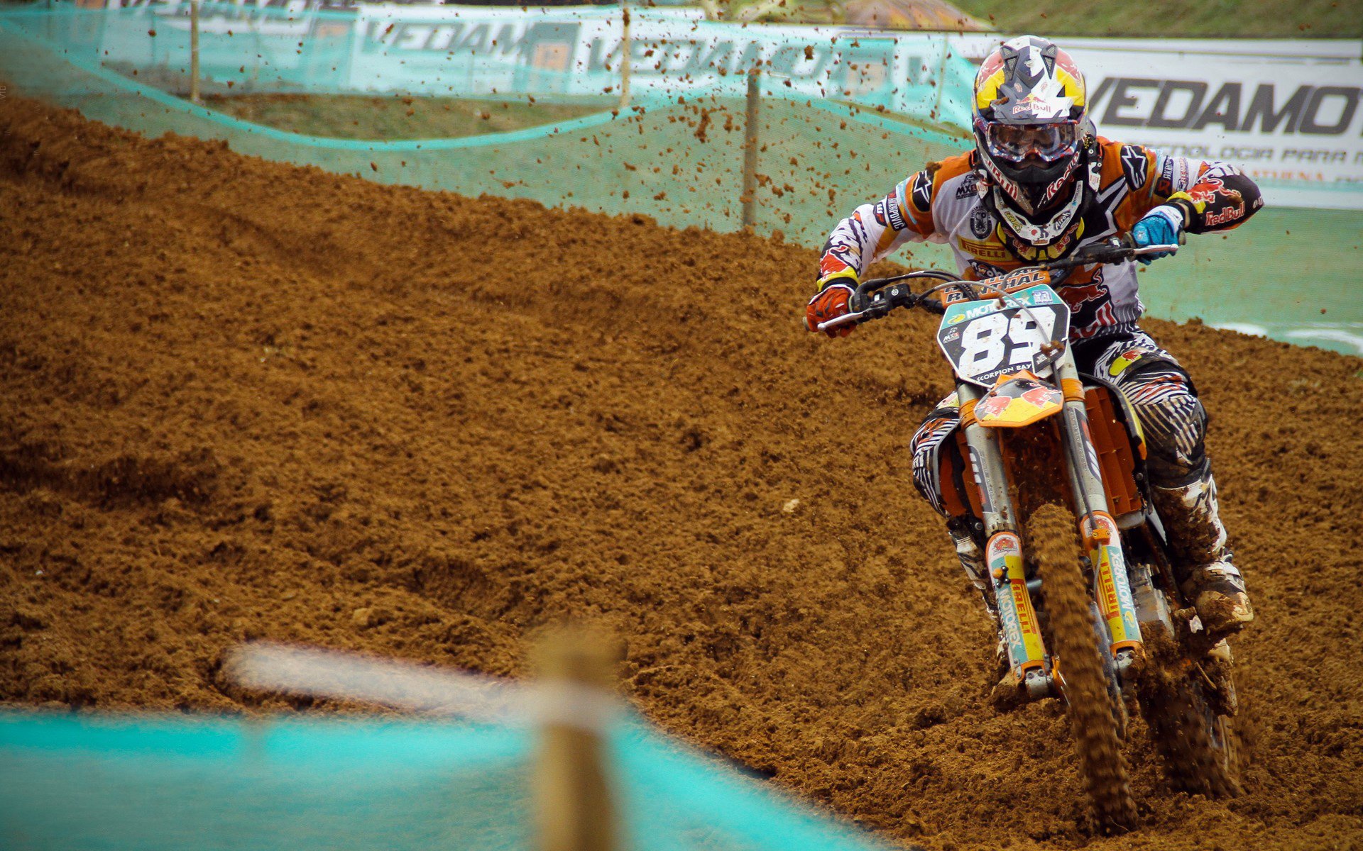 开云下载-西班牙马术代表队引入先进的马匹护理技术，提升马匹健康水平。